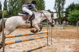 photographe-reportage-equestre-cso-gers-vergoignan-ecuries-barres1