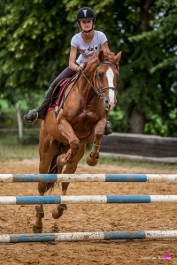 photographe-reportage-equestre-cso-gers-vergoignan-ecuries-barres10