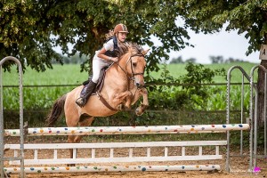 photographe-reportage-equestre-cso-gers-vergoignan-ecuries-barres2