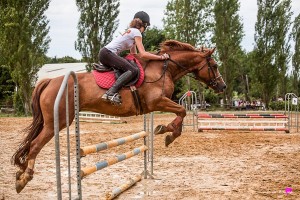 photographe-reportage-equestre-cso-gers-vergoignan-ecuries-barres7