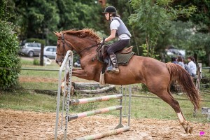 photographe-reportage-equestre-cso-gers-vergoignan-ecuries-barres8
