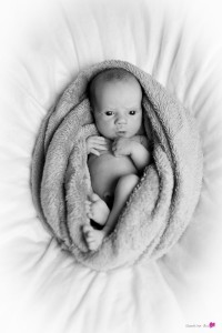 photo-portrait-studio-nouveau-ne-jumelle-landes-mont-de-marsan-noir-et-blanc-nid