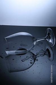 photographe-professionnel-siteweb-gers-verredevin